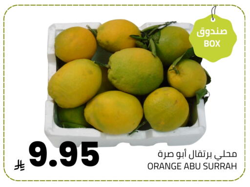 Orange available at Astra Markets in KSA, Saudi Arabia, Saudi - Tabuk