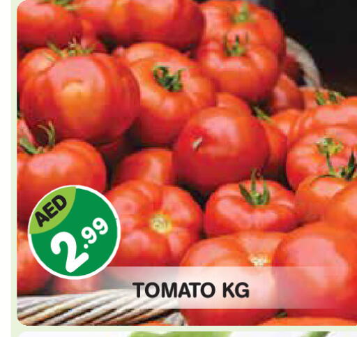 Tomato available at Baniyas Spike  in UAE - Fujairah