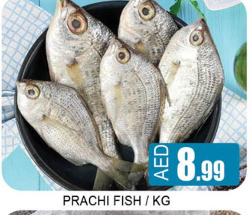 available at Lucky Center in UAE - Sharjah / Ajman