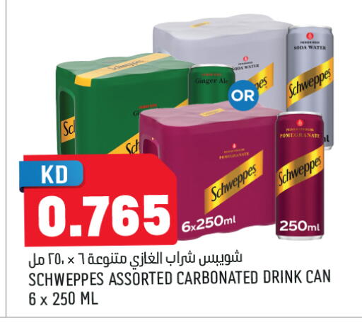Pomegranate Ginger available at Oncost in Kuwait - Jahra Governorate