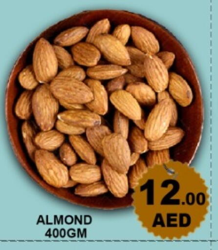 available at Green Gift Department Store in UAE - Dubai