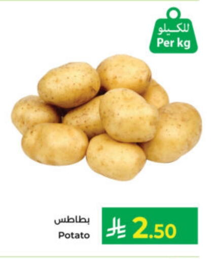 Potato available at كبايان هايبرماركت in مملكة العربية السعودية, السعودية, سعودية - ينبع