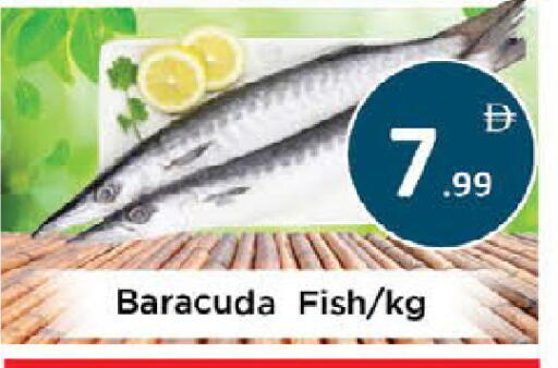 available at AIKO Mall and AIKO Hypermarket in UAE - Al Ain