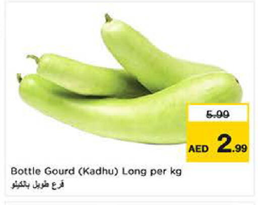 available at لاست تشانس in الإمارات العربية المتحدة , الامارات - ٱلْفُجَيْرَة‎