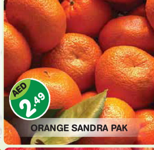 Orange available at سنابل بني ياس in الإمارات العربية المتحدة , الامارات - ٱلْفُجَيْرَة‎