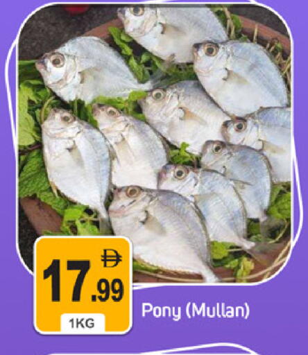 available at سوق طلال in الإمارات العربية المتحدة , الامارات - دبي