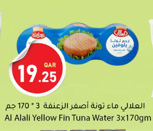 available at دانا ماركت in قطر - الشمال