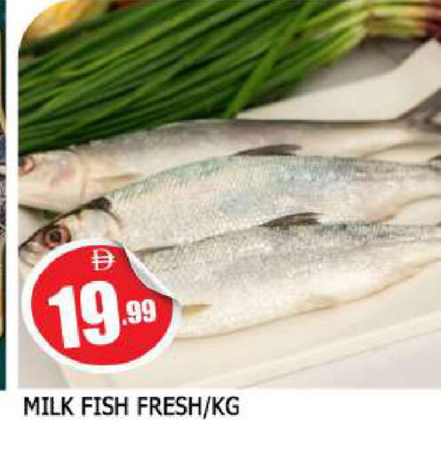 available at AL MADINA in UAE - Sharjah / Ajman