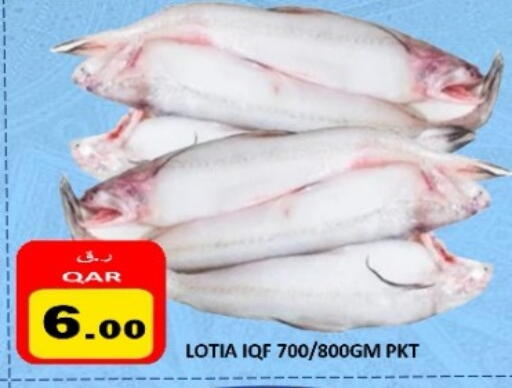 available at Regency Group in Qatar - Al-Shahaniya