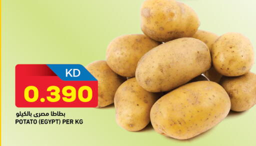 Potato from Egypt available at أونكوست in الكويت - محافظة الجهراء