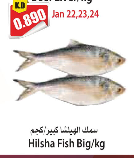 available at 4 سيف مارت in الكويت - مدينة الكويت