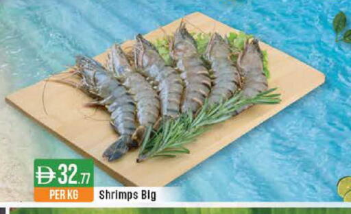 available at ويست زون سوبرماركت in الإمارات العربية المتحدة , الامارات - دبي