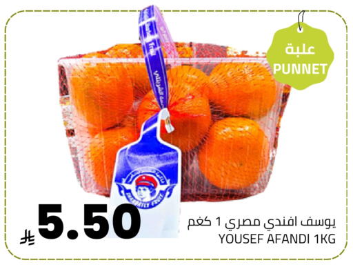 available at Astra Markets in KSA, Saudi Arabia, Saudi - Tabuk