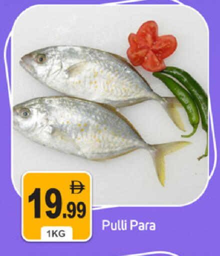 available at سوق طلال in الإمارات العربية المتحدة , الامارات - دبي