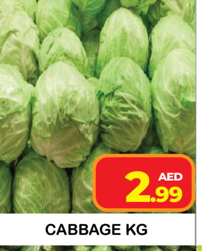 Cabbage available at Baniyas Spike  in UAE - Umm al Quwain