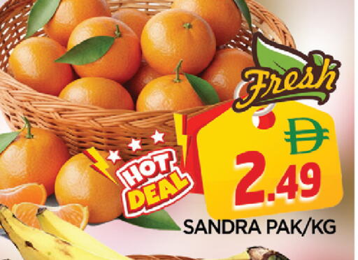 available at المدينة in الإمارات العربية المتحدة , الامارات - الشارقة / عجمان