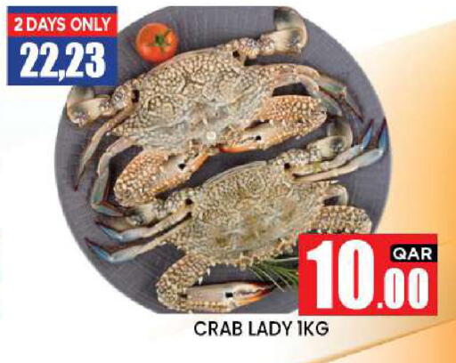 available at نيو ستوب اند شوب @فريج بن عمران in قطر - الريان