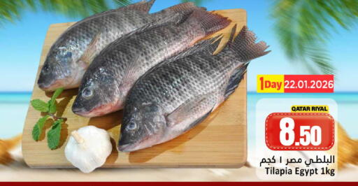 available at Dana Hypermarket in Qatar - Al Rayyan