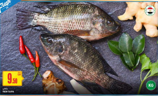 available at شركة الميرة للمواد الاستهلاكية in قطر - الريان