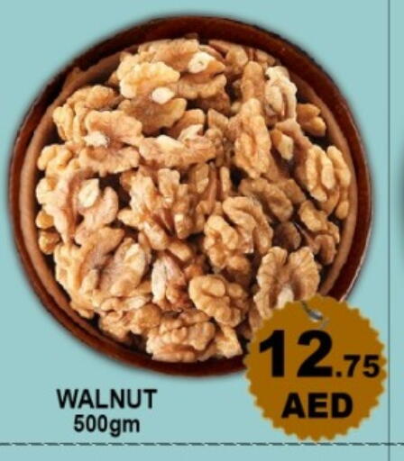 available at Green Gift Department Store in UAE - Dubai