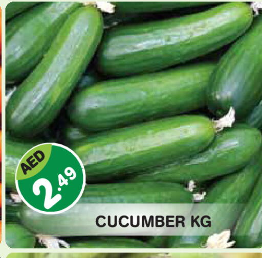 Cucumber available at Baniyas Spike  in UAE - Fujairah