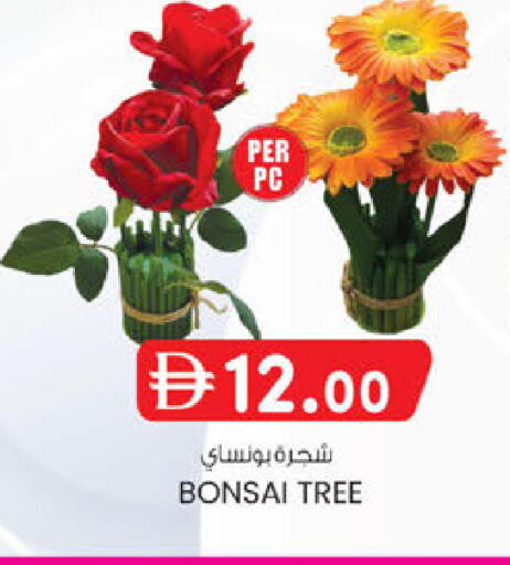 available at K.M Hypermarket in UAE - Al Ain