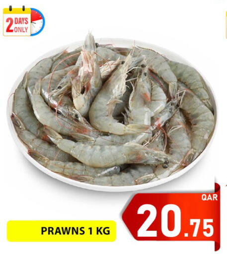 available at باشن هايبر ماركت in قطر - الريان