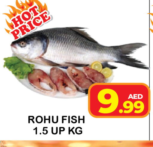 available at سنابل بني ياس in الإمارات العربية المتحدة , الامارات - أم القيوين‎