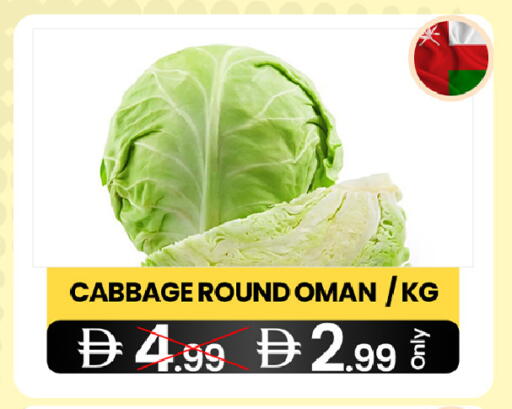 Cabbage from Oman available at  ELITE BASKET SUPERMARKET L.L.C. SP in UAE - Sharjah / Ajman
