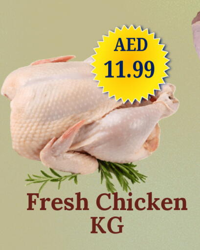 available at GSY Cash & Carry Supermarket in UAE - Dubai