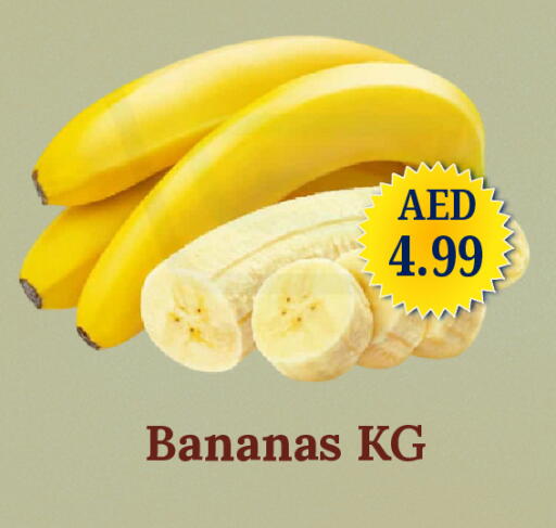 available at GSY Cash & Carry Supermarket in UAE - Dubai