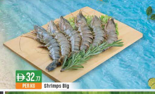 available at ويست زون سوبرماركت in الإمارات العربية المتحدة , الامارات - الشارقة / عجمان