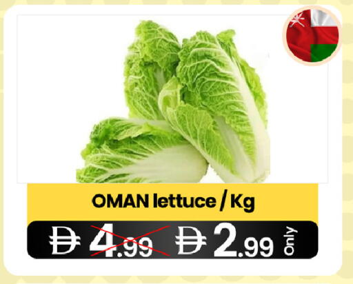 Lettuce from Oman available at  ELITE BASKET SUPERMARKET L.L.C. SP in UAE - Sharjah / Ajman