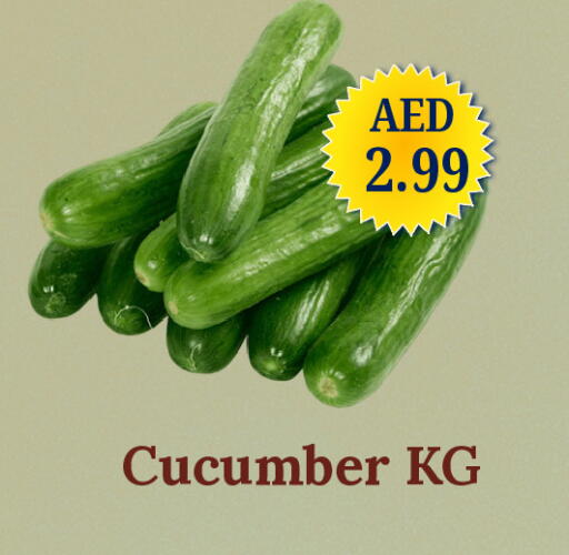 Cucumber available at GSY Cash & Carry Supermarket in UAE - Dubai