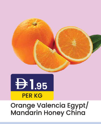 Orange Mandarin available at ويست زون سوبرماركت in الإمارات العربية المتحدة , الامارات - دبي