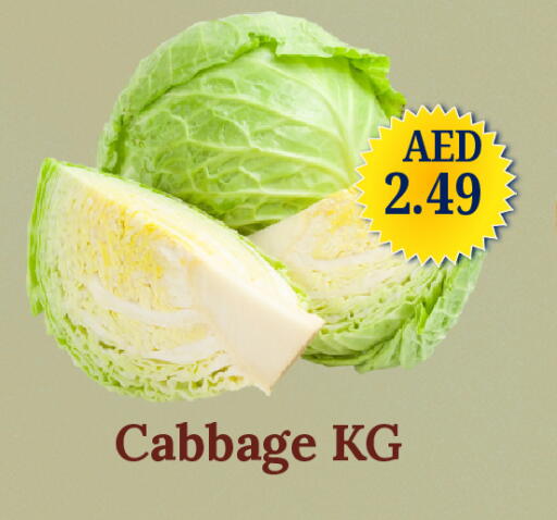 Cabbage available at GSY Cash & Carry Supermarket in UAE - Dubai