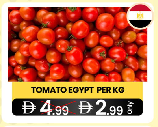 Tomato from Egypt available at  ELITE BASKET SUPERMARKET L.L.C. SP in UAE - Sharjah / Ajman