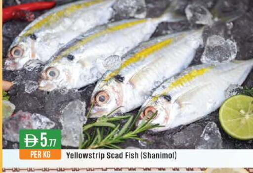 available at ويست زون سوبرماركت in الإمارات العربية المتحدة , الامارات - الشارقة / عجمان