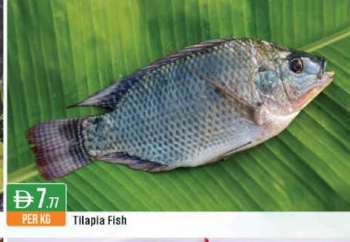 available at ويست زون سوبرماركت in الإمارات العربية المتحدة , الامارات - الشارقة / عجمان