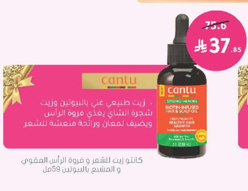 Avocado available at  النهدي in مملكة العربية السعودية, السعودية, سعودية - الخرج