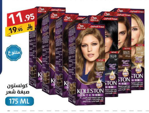 available at Ala Kaifak in KSA, Saudi Arabia, Saudi - Sakaka