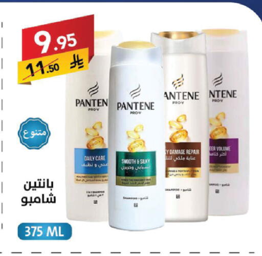 available at Ala Kaifak in KSA, Saudi Arabia, Saudi - Sakaka