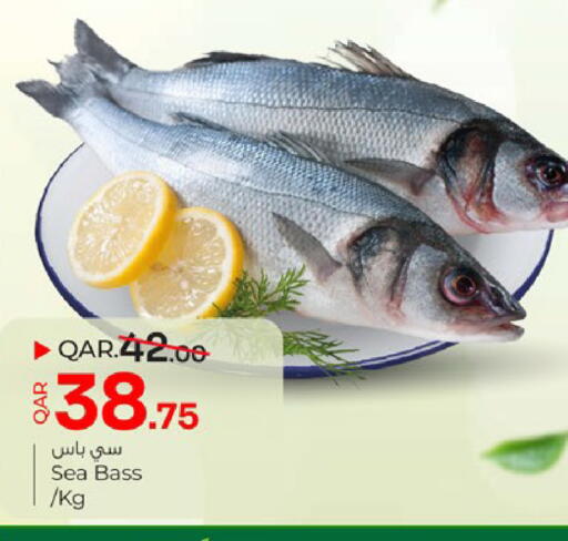 available at Paris Hypermarket in Qatar - Al-Shahaniya