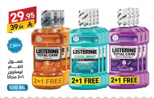 Mint available at Ala Kaifak in KSA, Saudi Arabia, Saudi - Sakaka