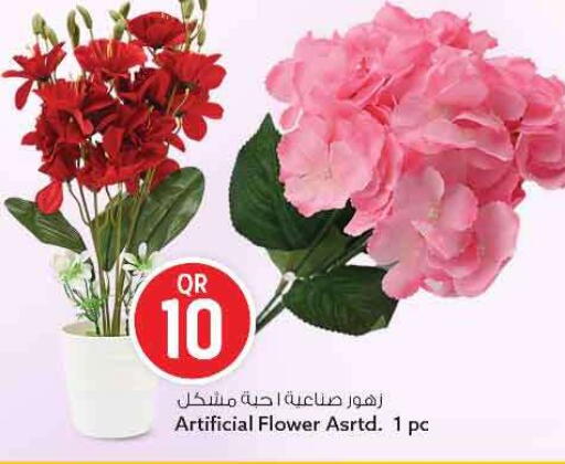 available at سفاري هايبر ماركت in قطر - الريان