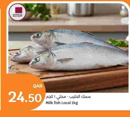 available at City Hypermarket in Qatar - Al-Shahaniya