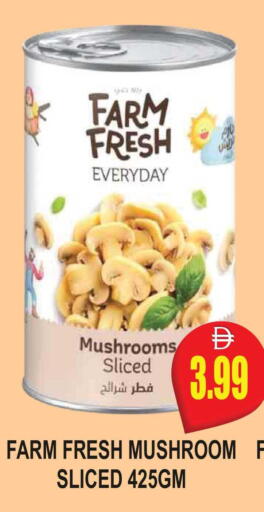 Mushroom available at مجمع باتيل فريش in الإمارات العربية المتحدة , الامارات - دبي