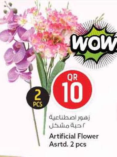 available at سفاري هايبر ماركت in قطر - الريان