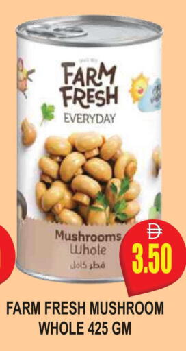 Mushroom available at مجمع باتيل فريش in الإمارات العربية المتحدة , الامارات - دبي