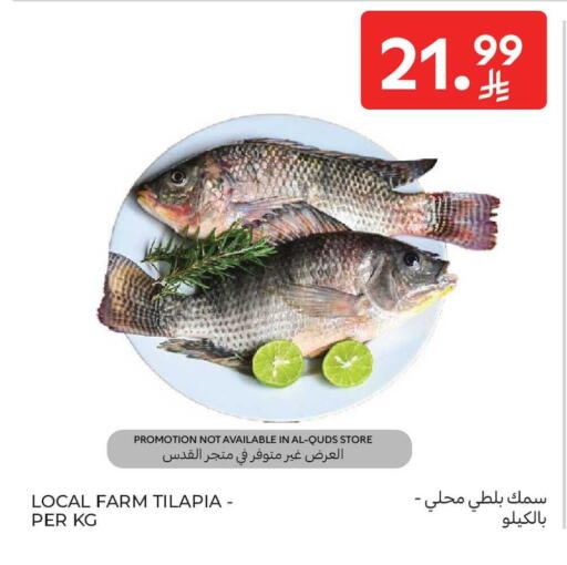 available at Carrefour in KSA, Saudi Arabia, Saudi - Sakaka